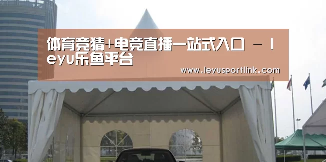 案例标题八