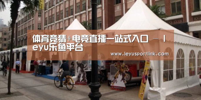 案例标题九