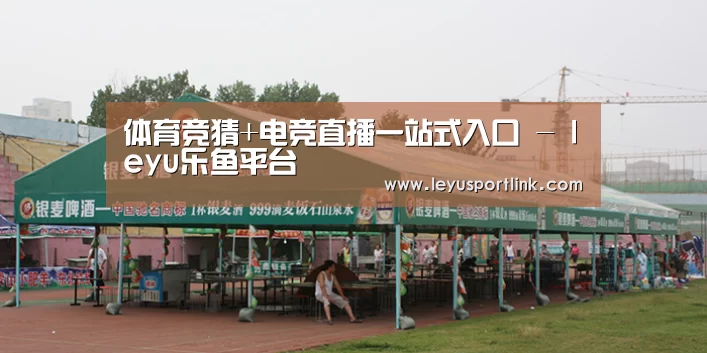 案例标题七