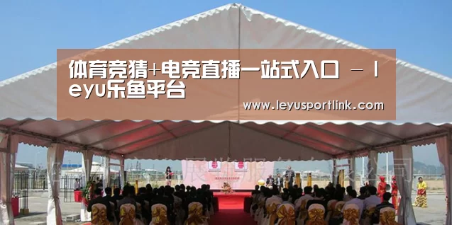 案例标题三