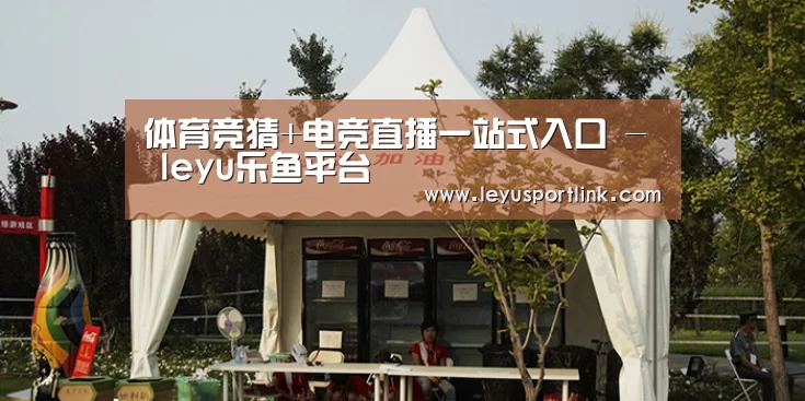 案例标题五(图1)