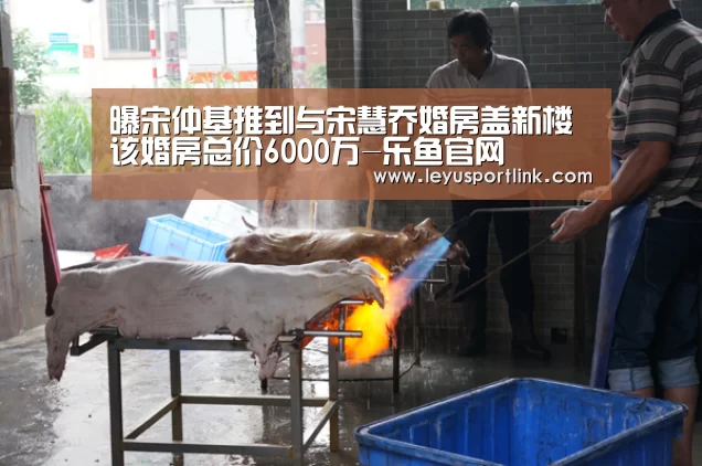 曝宋仲基推到与宋慧乔婚房盖新楼 该婚房总价6000万-乐鱼官网(图1) 乐鱼入口