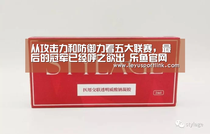 从攻击力和防御力看五大联赛,最后的冠军已经呼之欲出_乐鱼官网(图4) 乐鱼官网