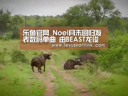 乐鱼官网_Noel月末回归发表数码单曲 由BEAST龙俊亨创作(图3) 乐鱼入口