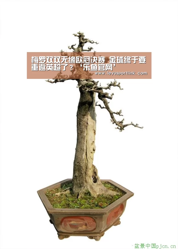 乐鱼体育网站入口