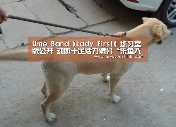 Ume Band《Lady First》练习室版公开 动感十足活力满分“乐鱼入口”(图1) Ume Band《Lady First》练习室版公开 动感十足活力满分“乐鱼入口”(图1)