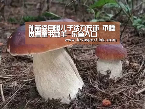 孙燕姿自曝儿子活力充沛 不睡觉看童书数羊-乐鱼入口(图1) 乐鱼体育网站入口