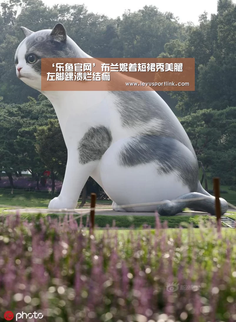 ‘乐鱼官网’布兰妮着短裙秀美腿 左脚踝溃烂结痂(图2) ‘乐鱼官网’布兰妮着短裙秀美腿 左脚踝溃烂结痂(图2)