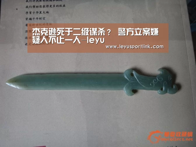 杰克逊死于二级谋杀? 警方立案嫌疑人不止一人-leyu(图2) 乐鱼官网